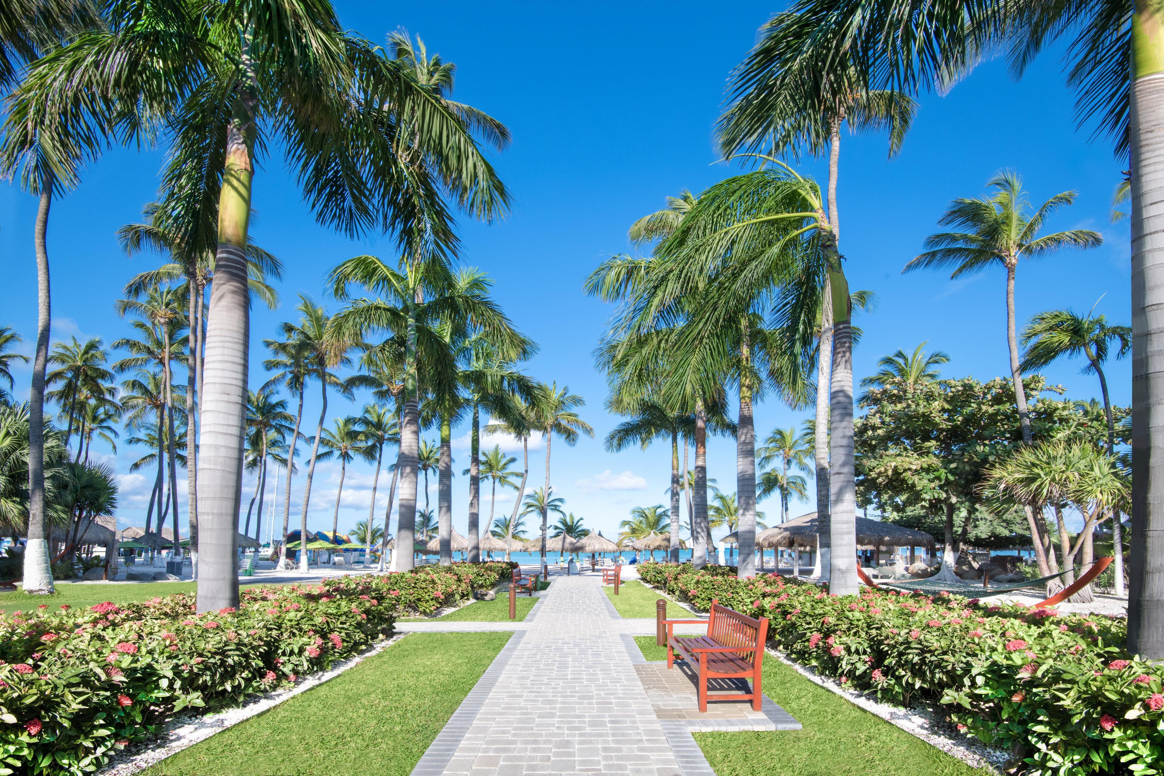 Holiday Inn Resort Aruba - Beach Resort & Casino, An Ihg Hotel Palm Beach Exterior foto